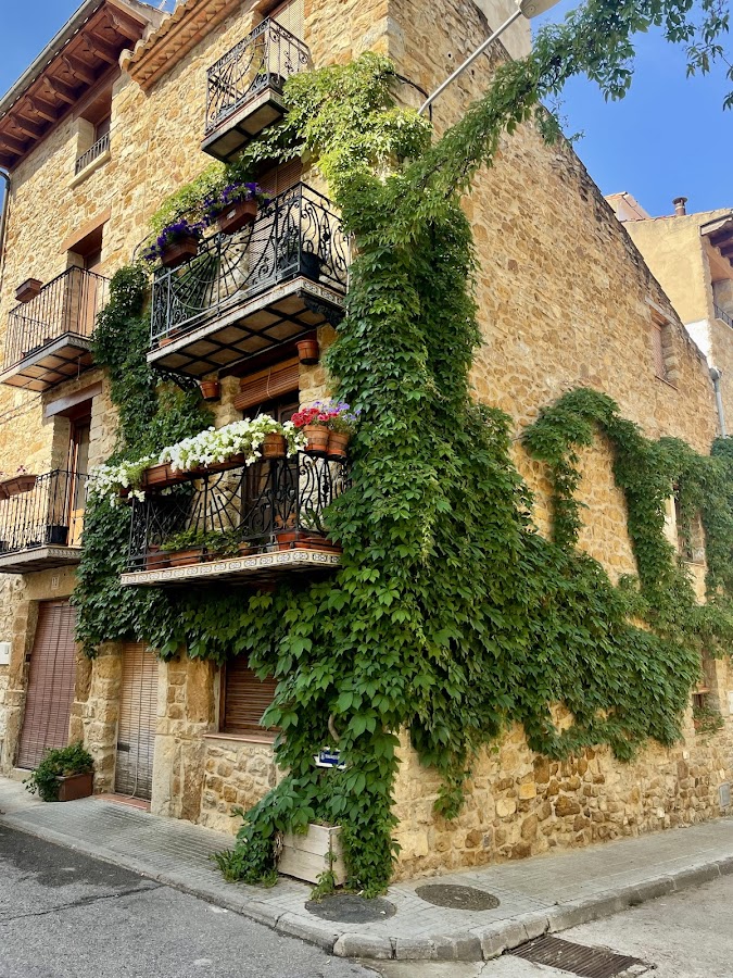 Hotel La Piqueta